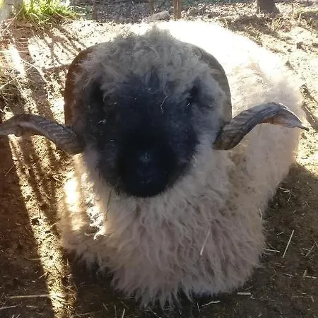 Matilde Сasa de vacaciones