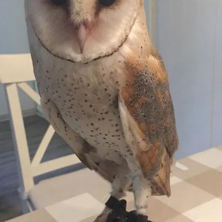 Matilde Сasa de vacaciones